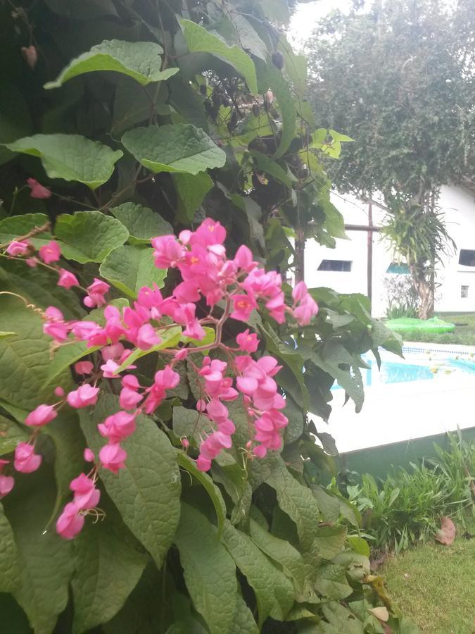 Pousada Mar A Vista Trancoso Dış mekan fotoğraf